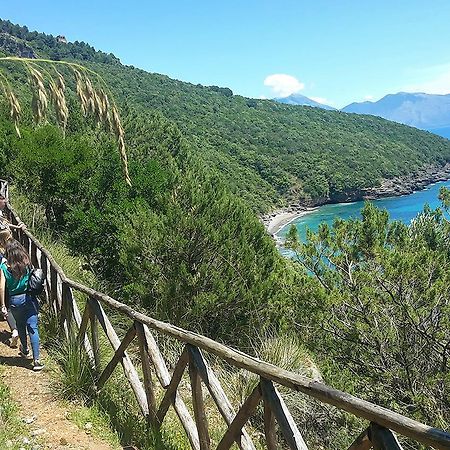 Residence Li Cylentos Policastro Scario A 2 Passi Dal Mare Policastro Bussentino Zewnętrze zdjęcie